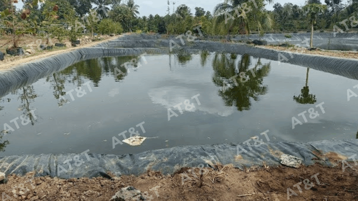 Ao nuôi lót màng HDPE giúp vệ sinh nhanh và rút ngắn thời gian cải tạo ao.