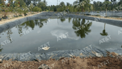 Giải pháp chống thấm bằng màng HDPE cho ao nuôi: Bí quyết tối ưu sản lượng