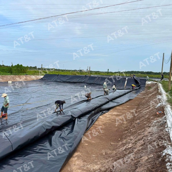 Hệ thống hồ nuôi tôm trải màng HDPE giúp kiểm soát môi trường nước và ngăn bệnh dịch hiệu quả.