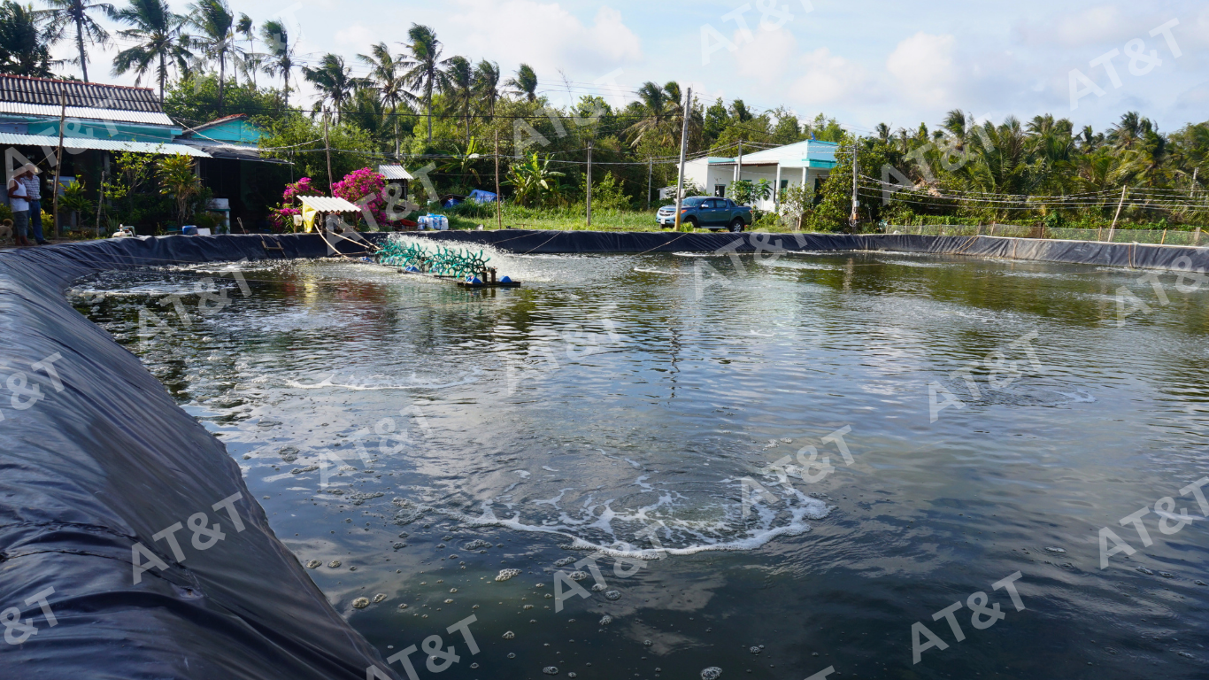 Lót đáy ao nuôi thủy sản bằng màng HDPE