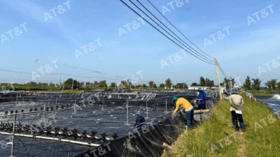 Quy trình kiểm định chất lượng bạt HDPE tiêu chuẩn quốc tế 