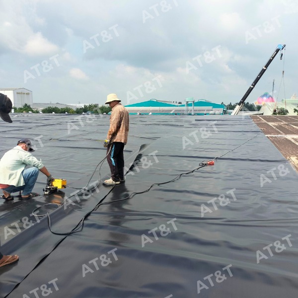 Màng HDPE chống thấm mái kho lạnh tại Stapimex.