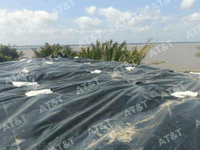 Màng HDPE chống thấm bãi san lấp giải pháp ngăn thấm hiệu quả cho công trình môi trường