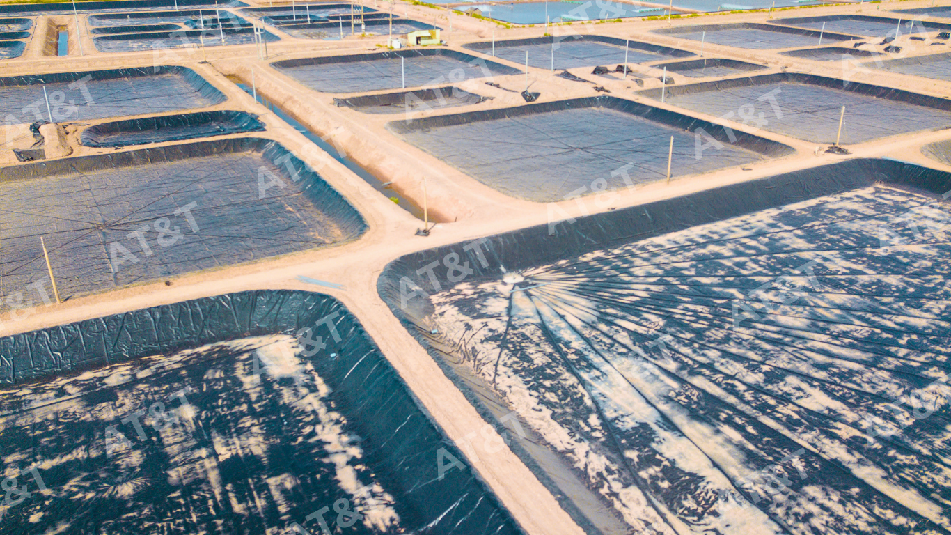 Ứng dụng bạt HDPE trong nuôi trồng thủy sản