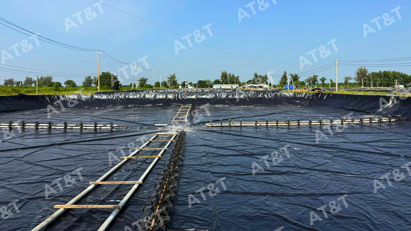 Bạt HDPE ứng dụng trong lót hồ nuôi trồng thủy sản