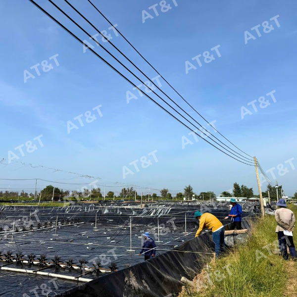 Đơn vị cung cấp màng HDPE nuôi thủy sản uy tín