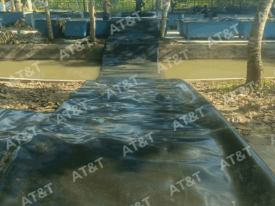 Màng HDPE và màng PE có gì khác biệt? So sánh chi tiết và cách lựa chọn