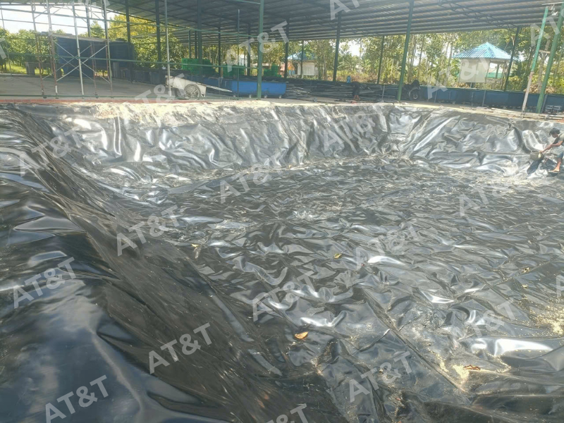 Hình 3: HDPE là một dạng PE có mật độ cao, nhưng không phải mọi loại màng PE đều có đặc tính tương đương màng HDPE chuyên dụng.