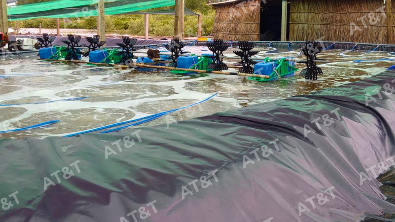 Bạt HDPE được ứng dụng trong nuôi trồng thủy sản