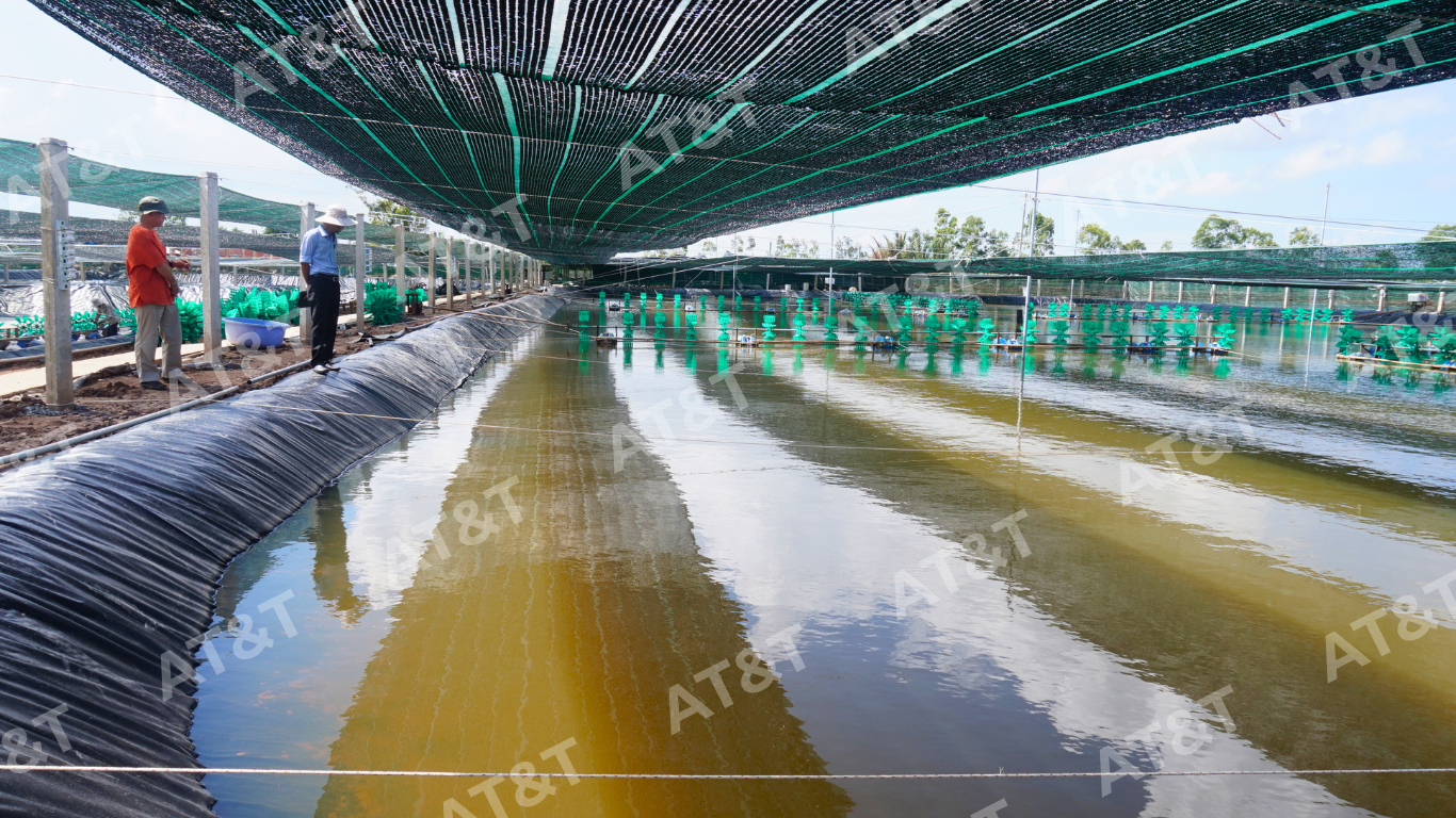 Ứng dụng màng HDPE 0.5mm