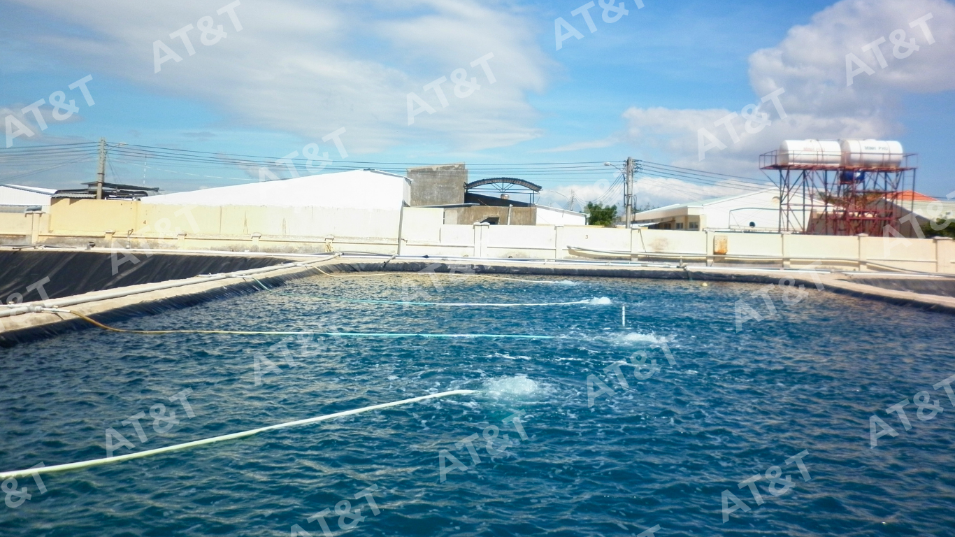 Thi công bạt HDPE cho hồ nuôi tôm