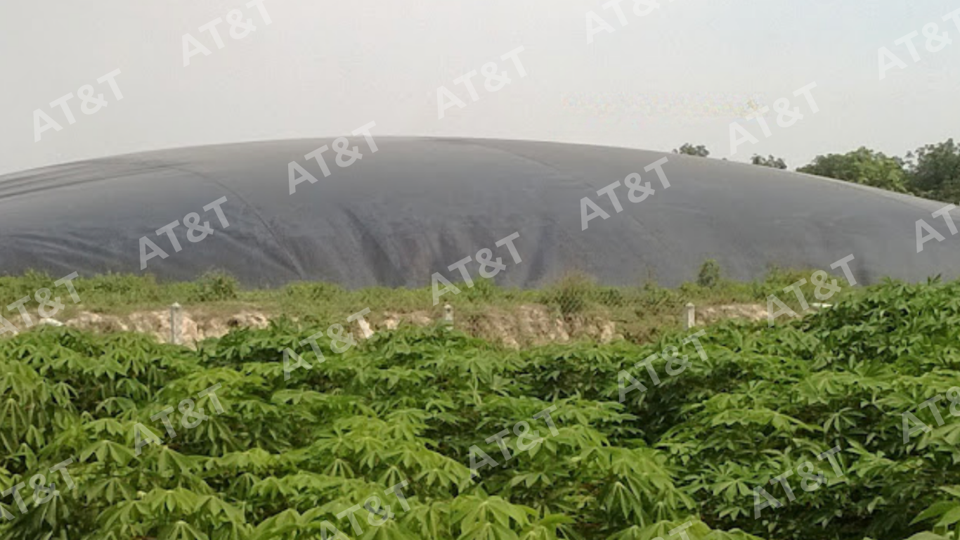Hình: Hầm Biogas màng HDPE dày 1mm