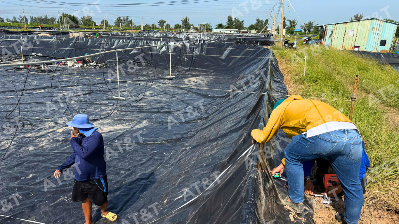 Các bước trong biện pháp thi công màng HDPE