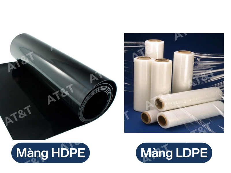 Hình: màng HDPE và màng LDPE